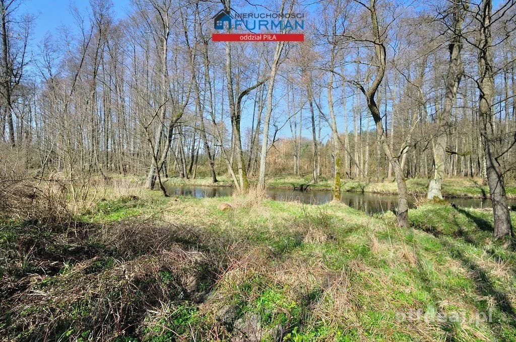 plot for sale in Zabrodzie | 22,300 m²