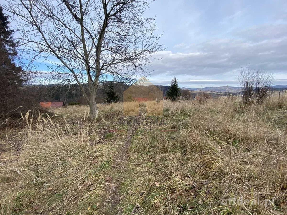 terrain à vendre à Nowa Ruda | 1 443 m²