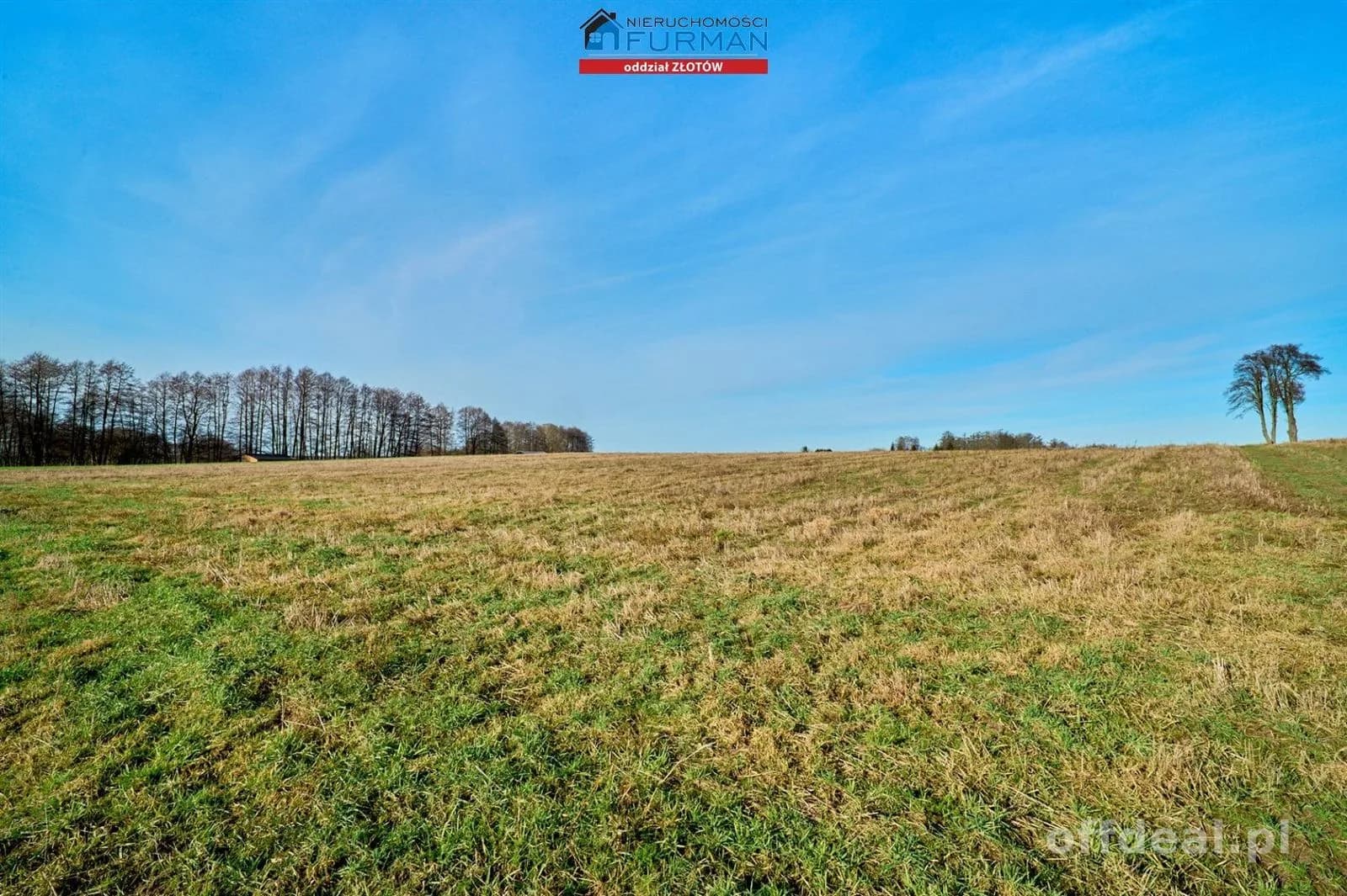 DZIAŁKI BUDOWLANE NA SPRZEDAŻ, KLESZCZYNA