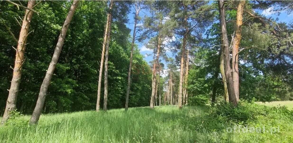 plot for sale in Zębice | 40,085 m²