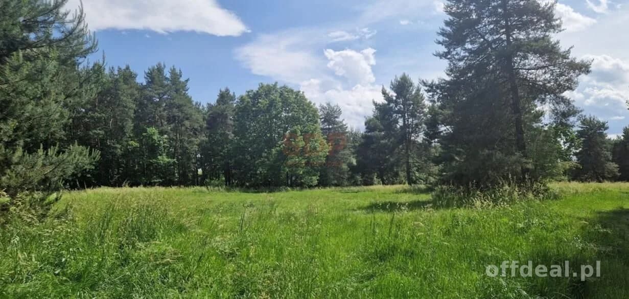 plot for sale in Zębice | 40,085 m²