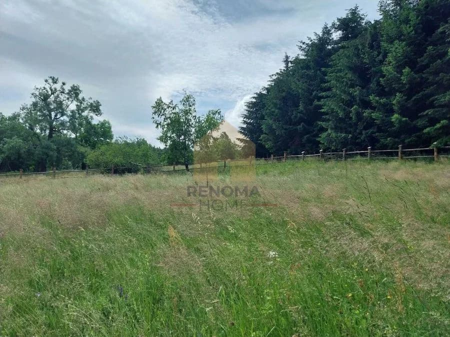 terrain à vendre à Walim | 3 800 m²