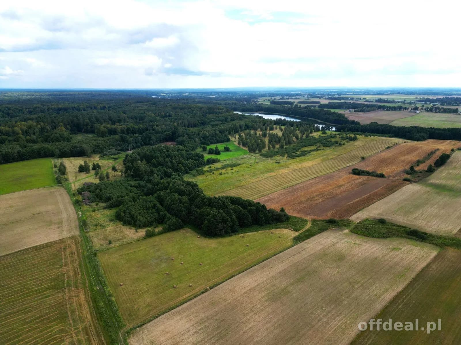 plot for sale in Liksajny | 3,768 m²
