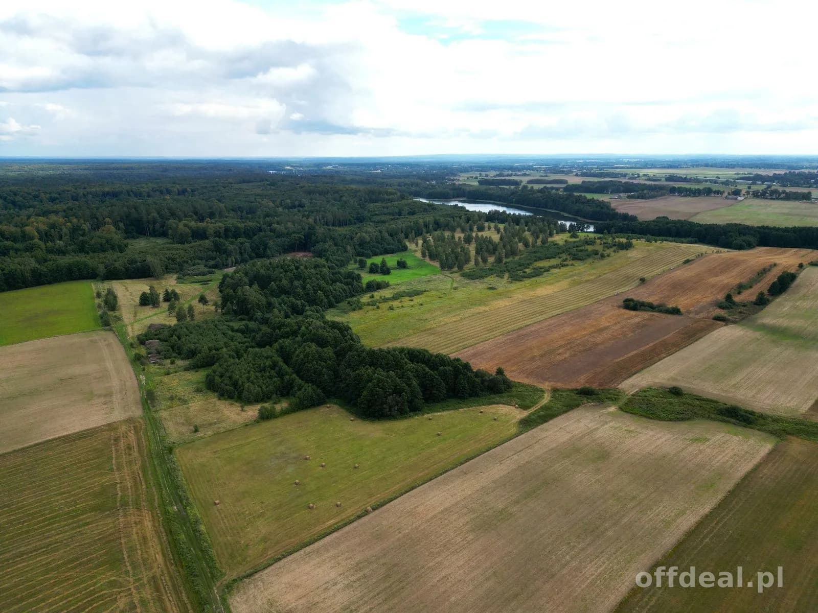 plot for sale in Liksajny | 3,768 m²