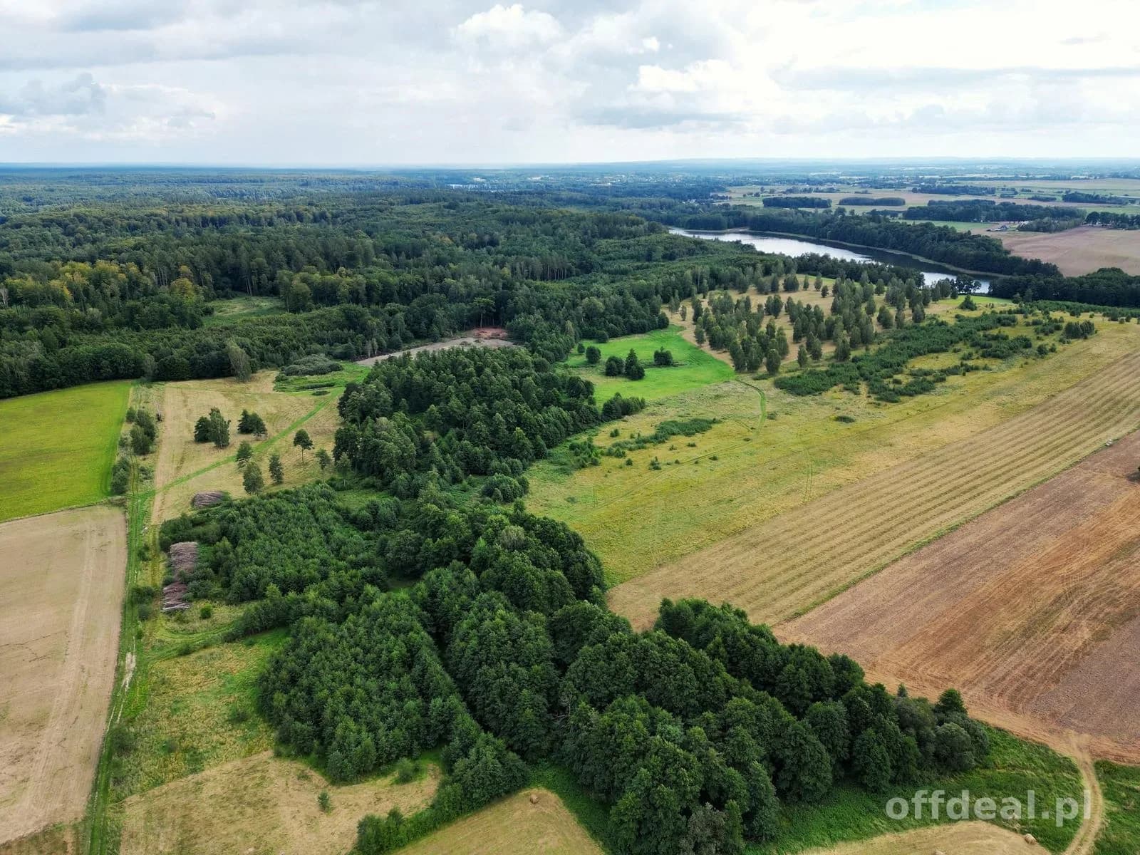 plot for sale in Liksajny | 3,768 m²