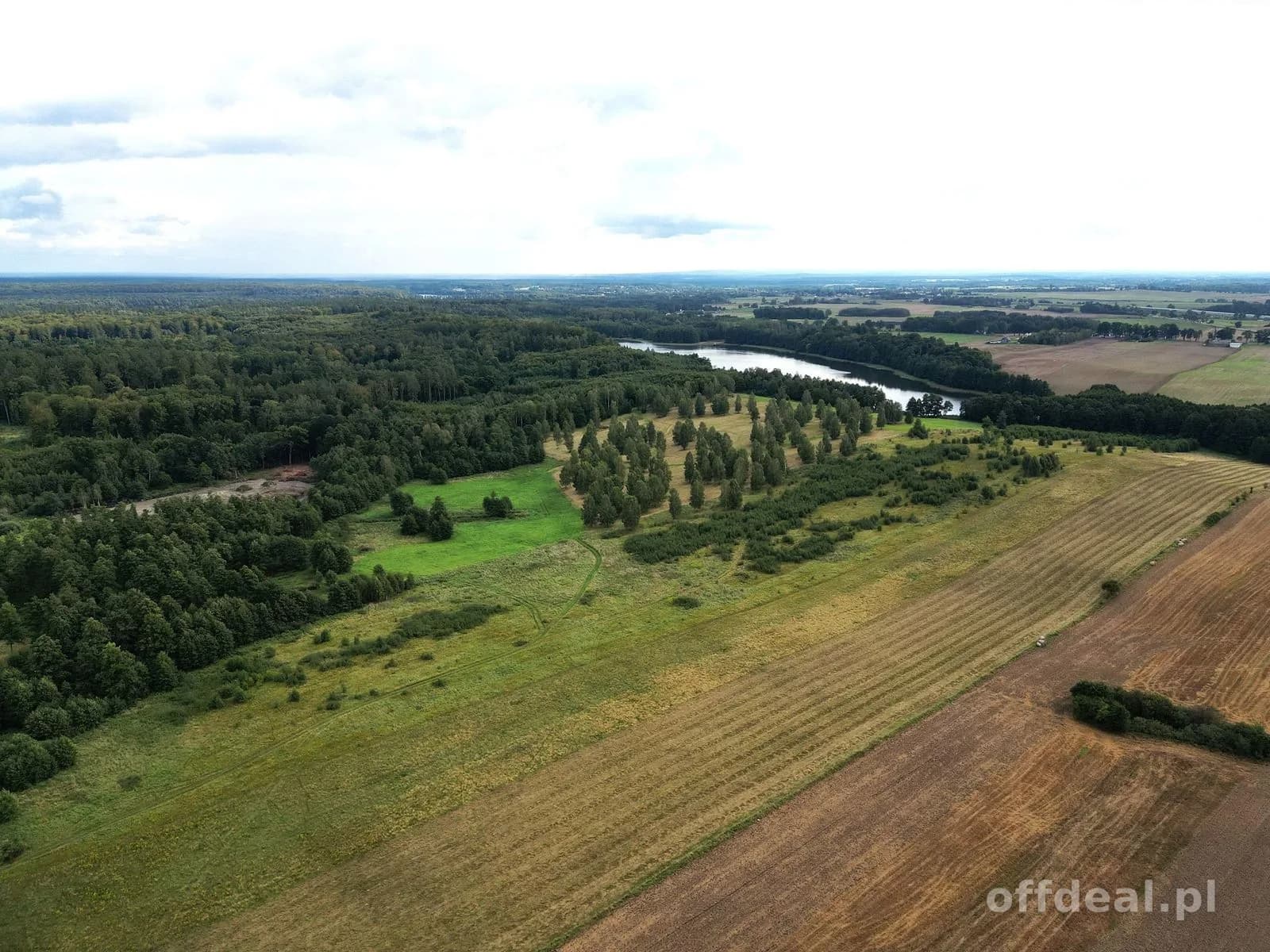 plot for sale in Liksajny | 3,768 m²