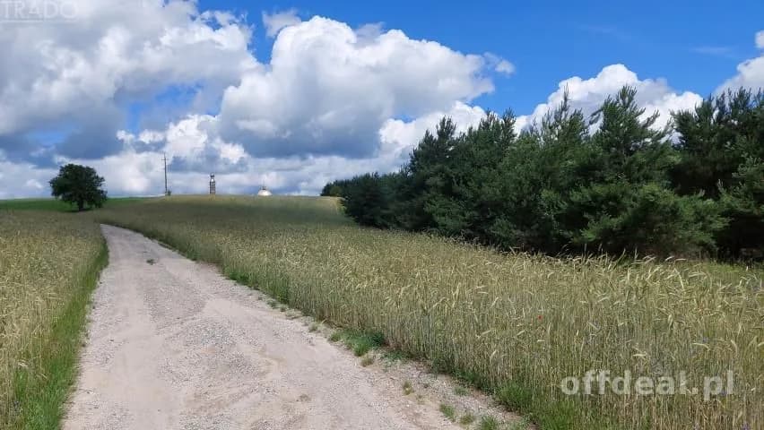 Zdjęcie 1: Działka, 5600 m², Licheń Stary