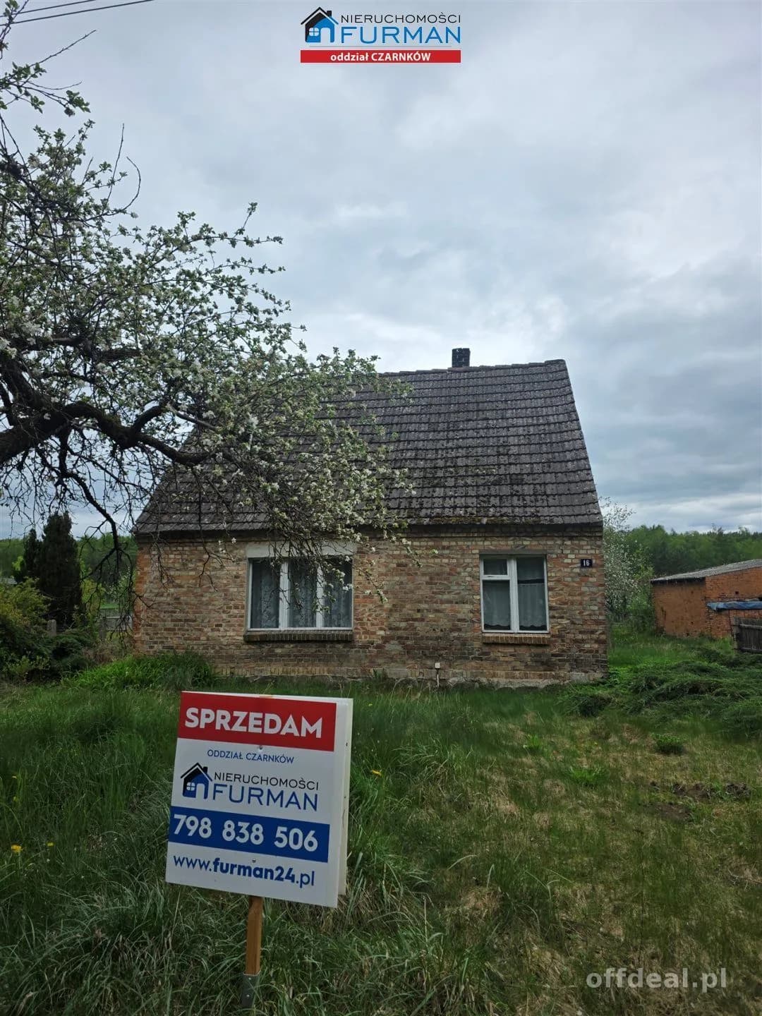 nieruchomość na sprzedaż w Kruczu gmiana Lubasz
