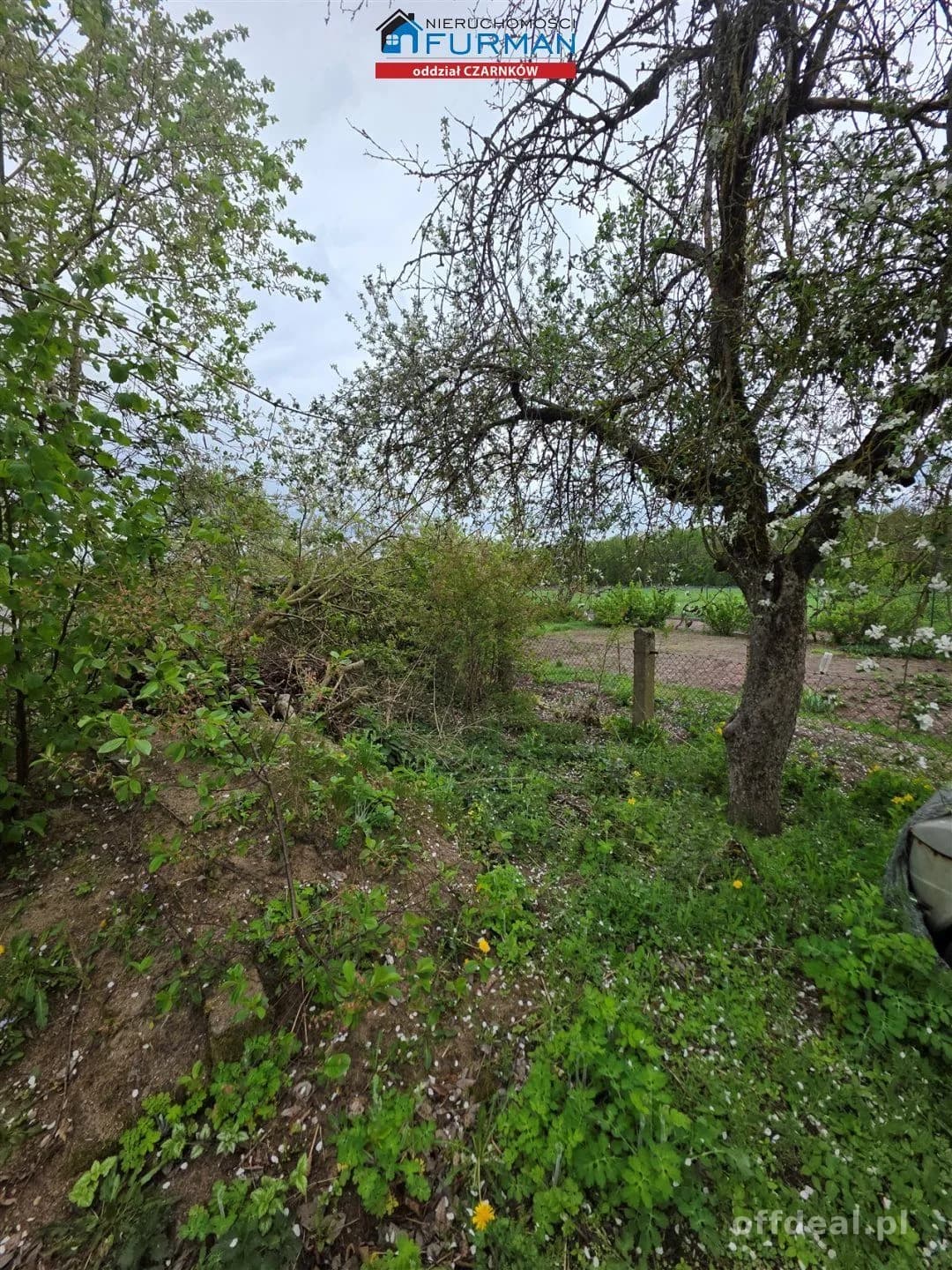 nieruchomość na sprzedaż w Kruczu gmiana Lubasz