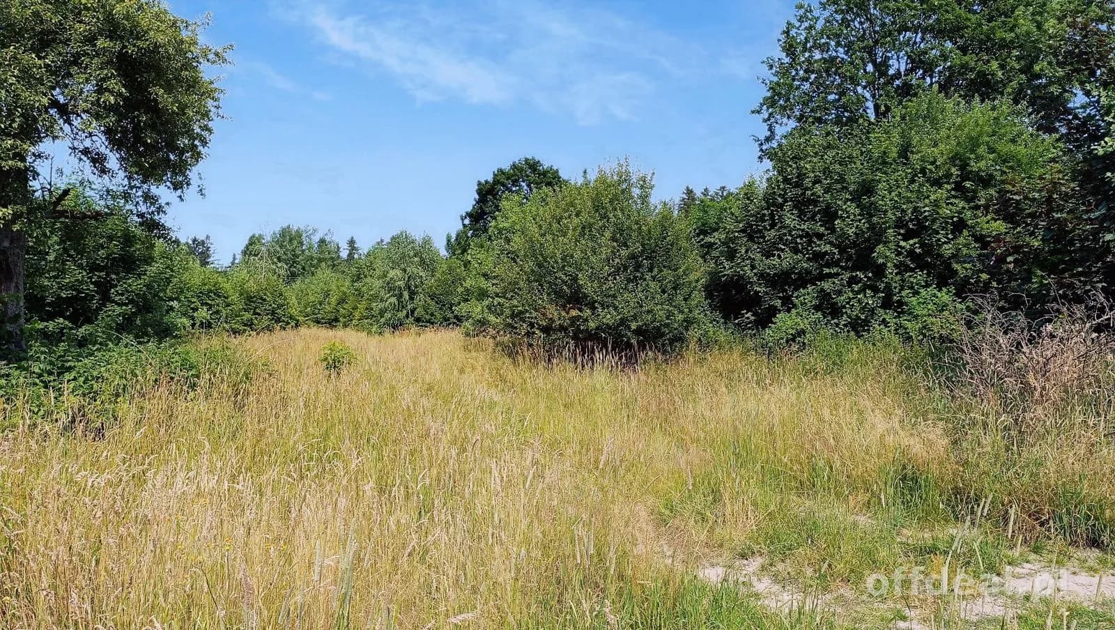 Grundstück zum Verkauf in Kudowa-Zdrój | 2.484 m²