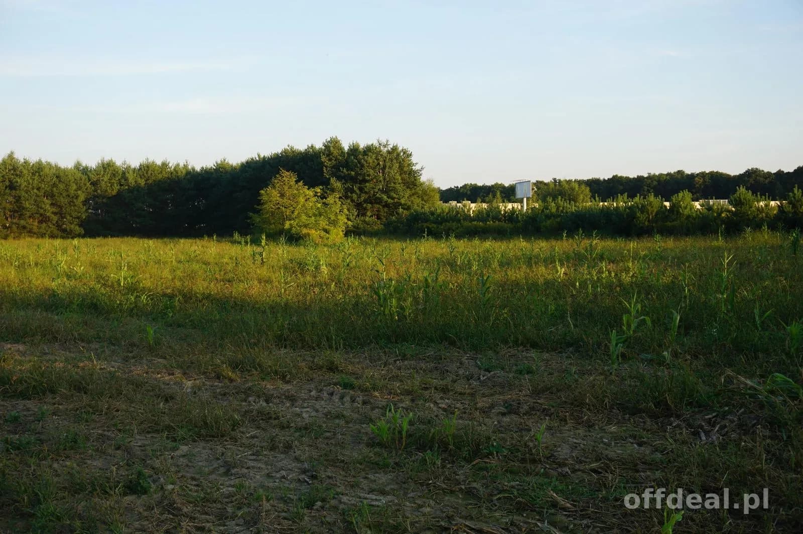 ділянка на продаж у Ramiszów | 15 000 m²