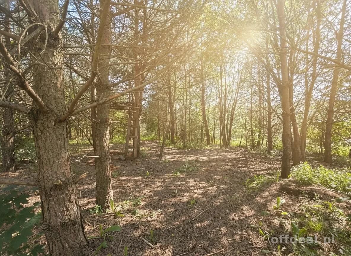 terrain à vendre à Ełk, Mrozy Wielkie | 1 463 m²