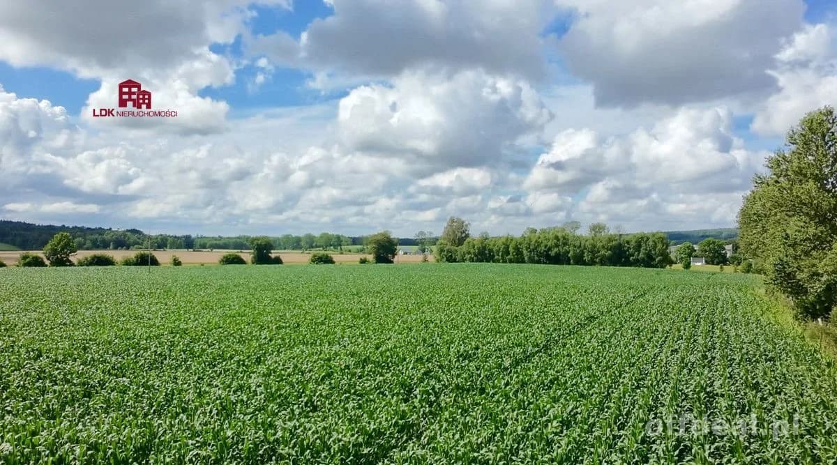 plot for sale in Łęczyce | 1,150 m²