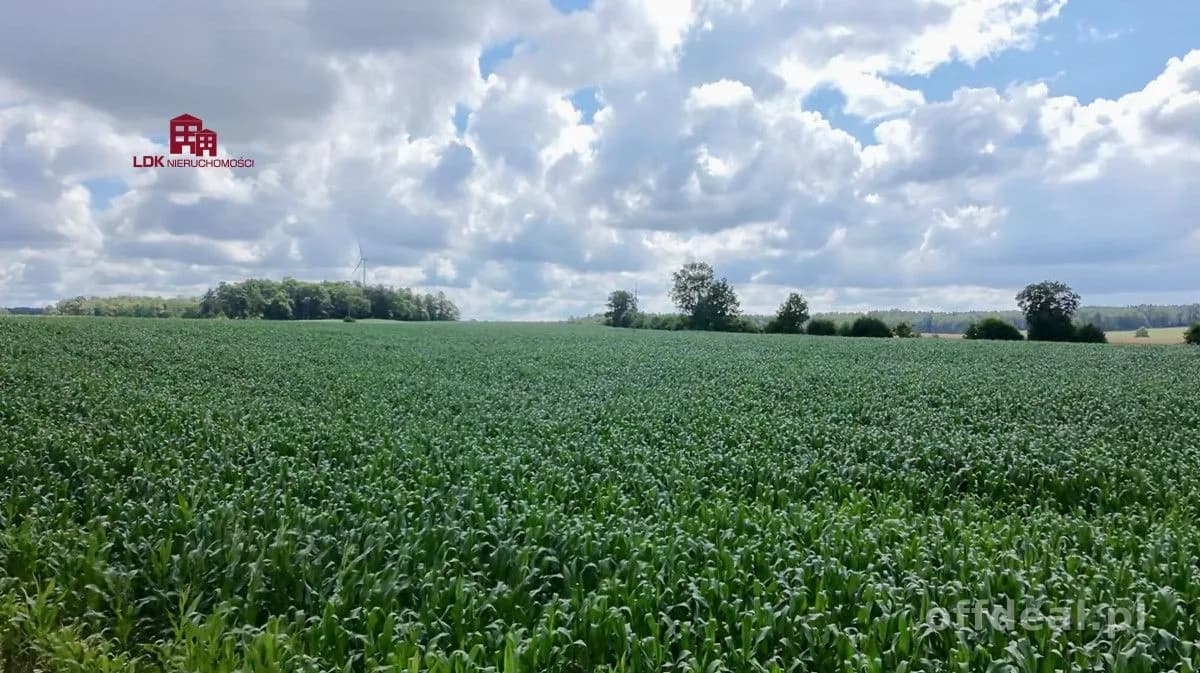 Brzeźno Lęborskie – działka 1150 m²