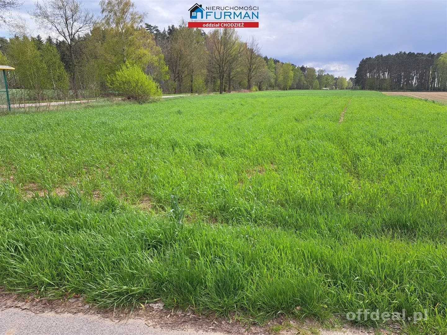 terrain à vendre à Żelice | 13 200 m²