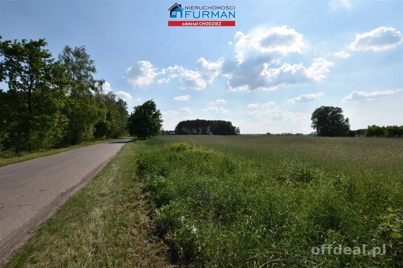 terrain à vendre à Żelice | 13 200 m²