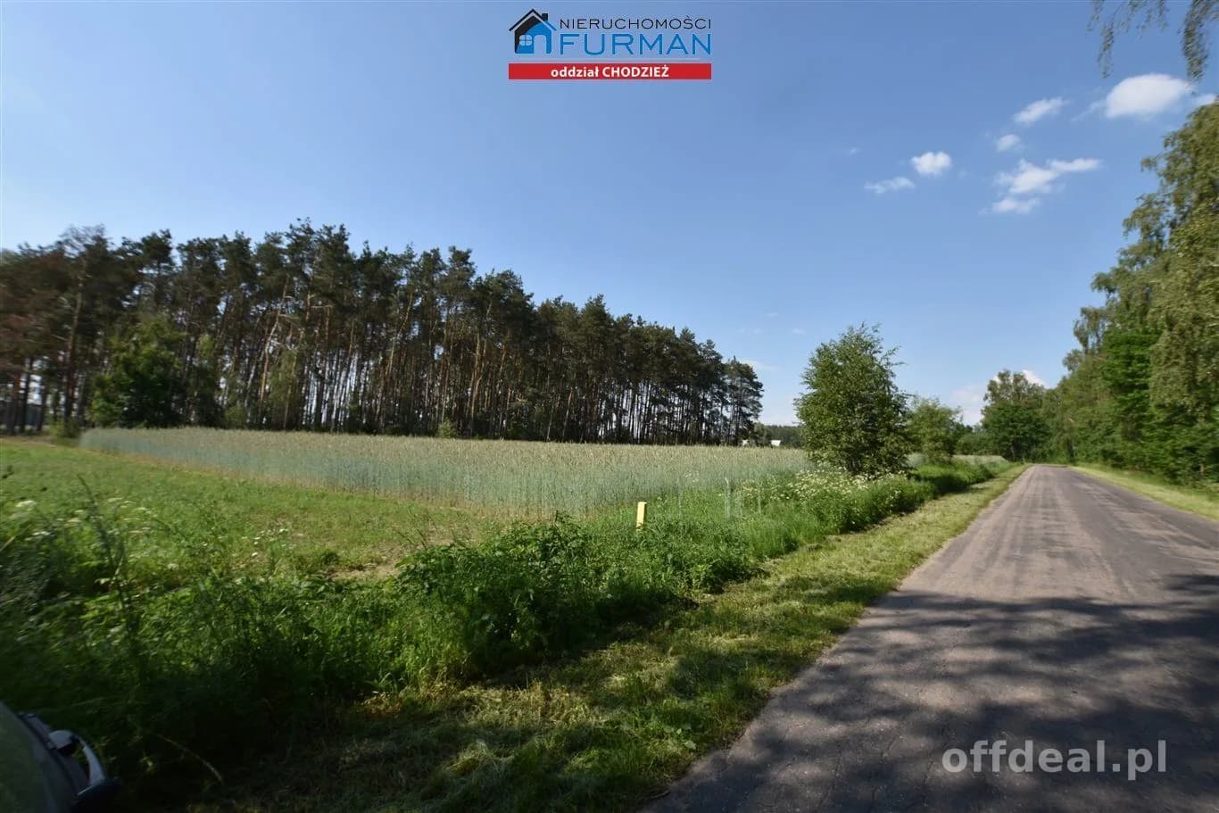 terrain à vendre à Żelice | 13 200 m²