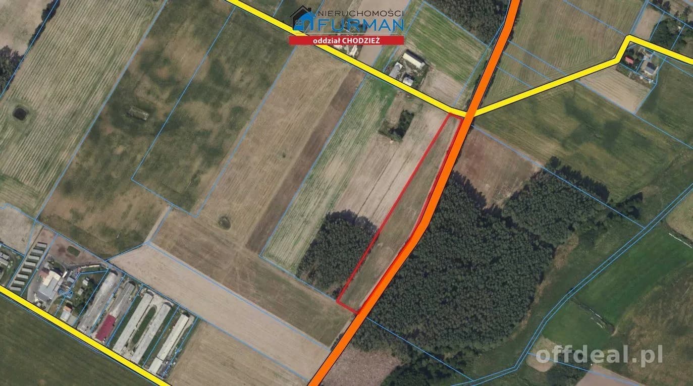 terrain à vendre à Żelice | 13 200 m²