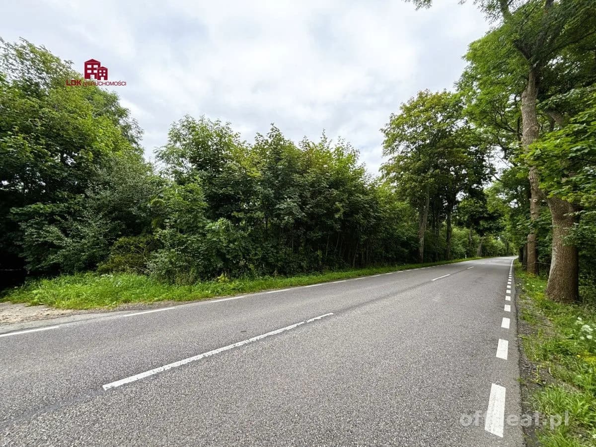 Działka z potencjałem agroturystycznym