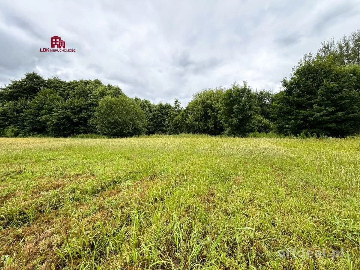 Działka z potencjałem agroturystycznym