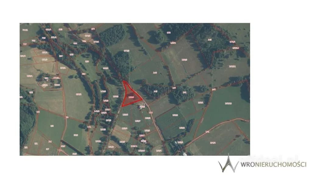 Dworki, gm. Nowa Ruda, działka z WZ, 5000m2
