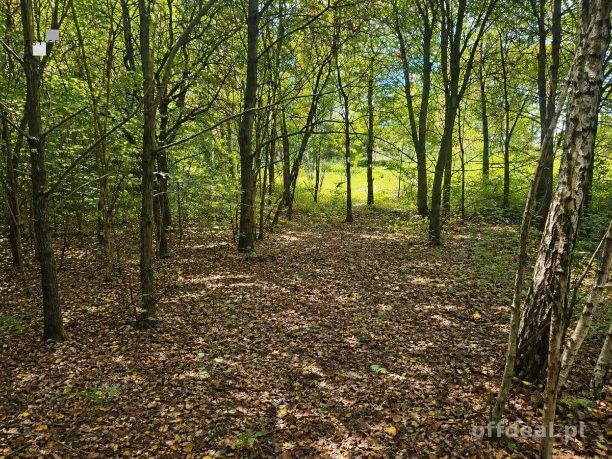 ділянка на продаж у Radom, Kończyce | 3 034 m²