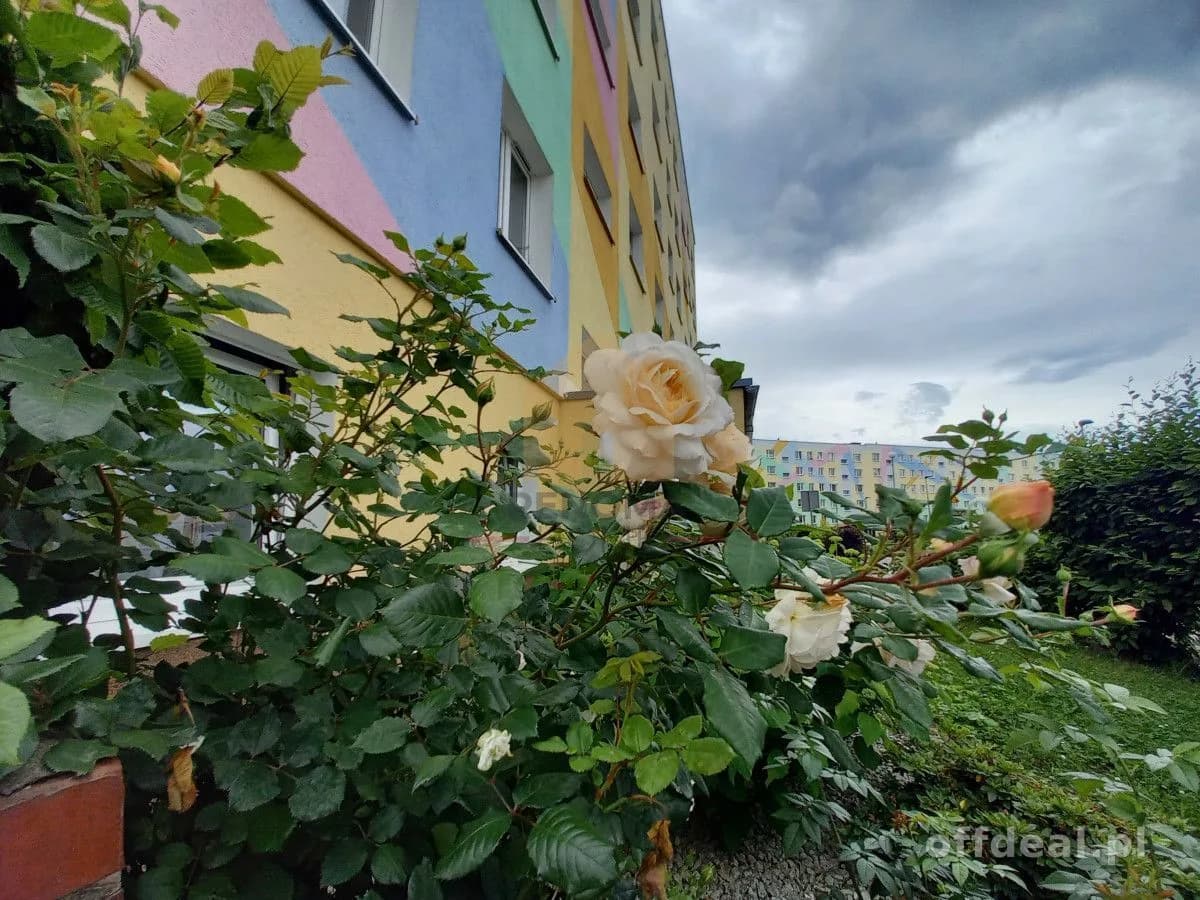 Widok na Góry Sowie | 3 Pokoje 65m² | Balkon