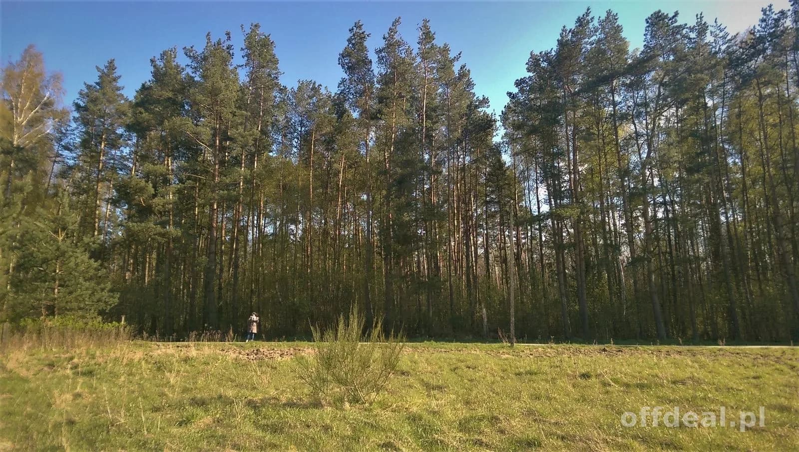 ділянка на продаж у Budzistowo | 3 058 m²