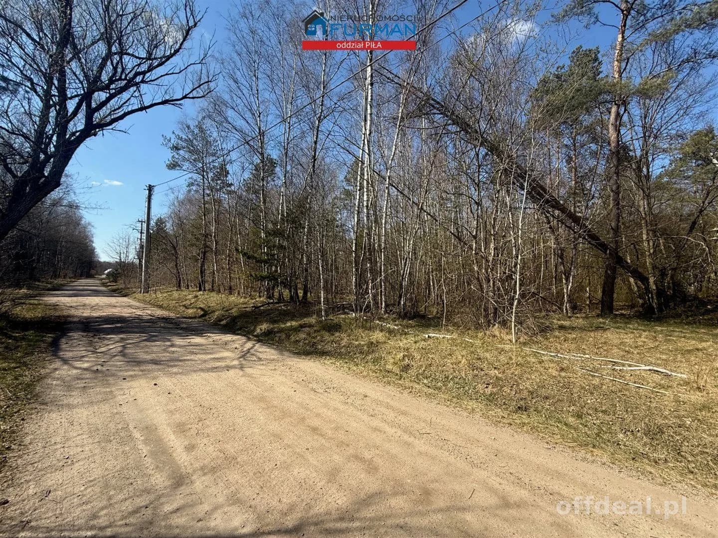 terrain à vendre à Czechyń | 3 094 m²