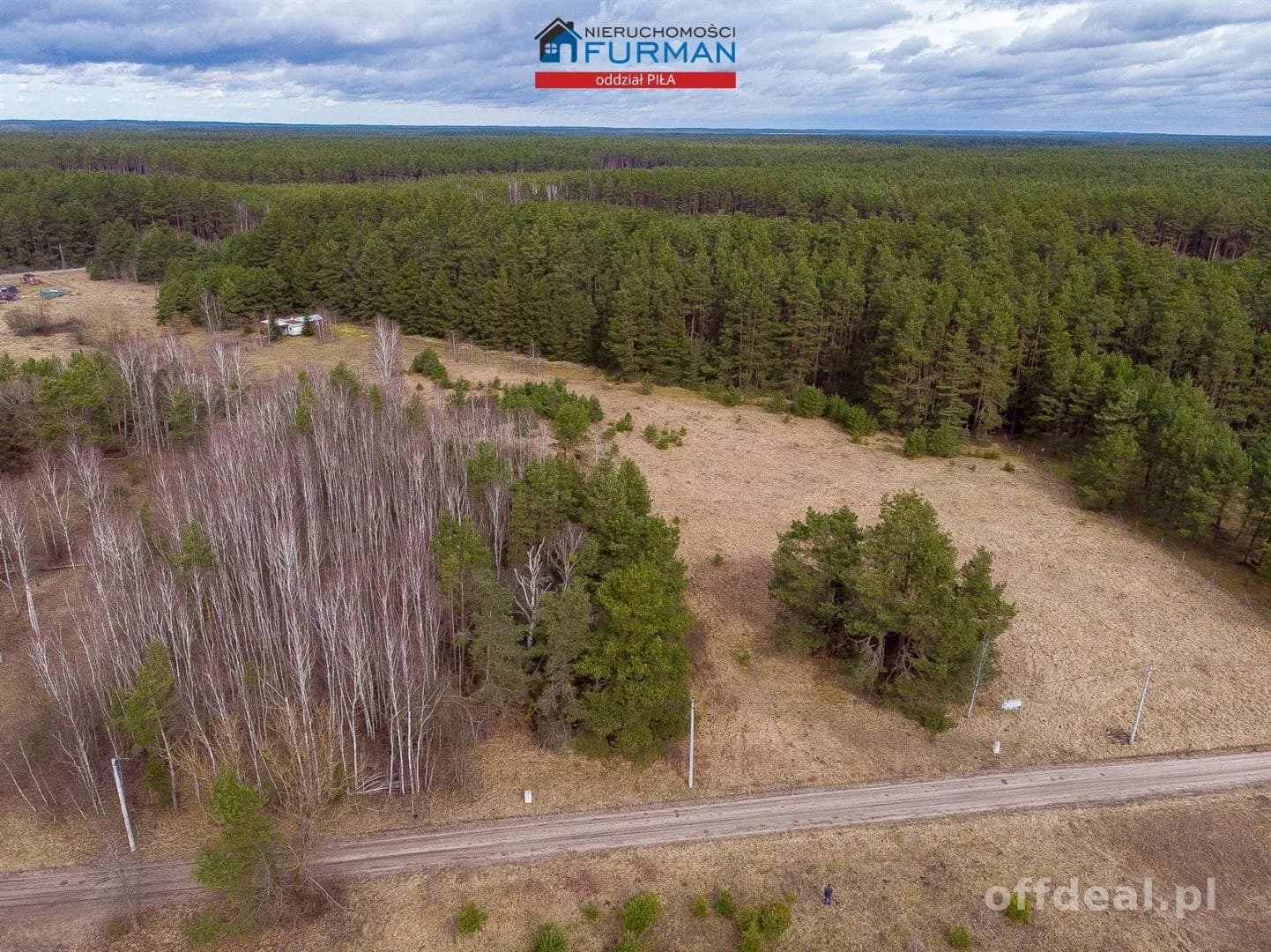 terrain à vendre à Czechyń | 3 094 m²