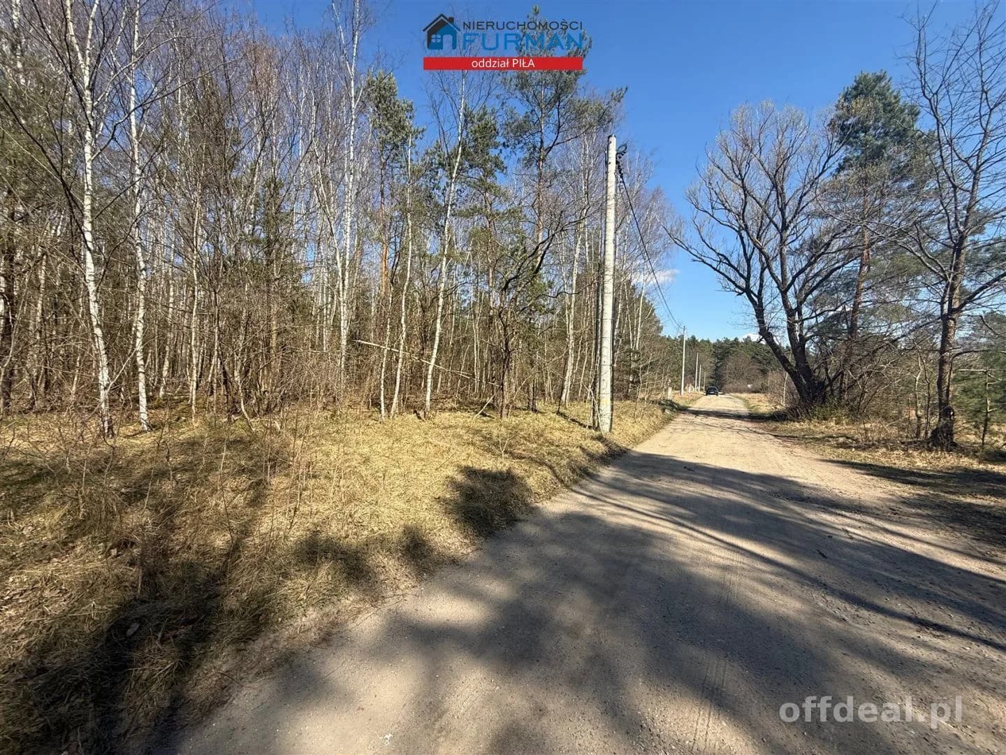 terrain à vendre à Czechyń | 3 094 m²