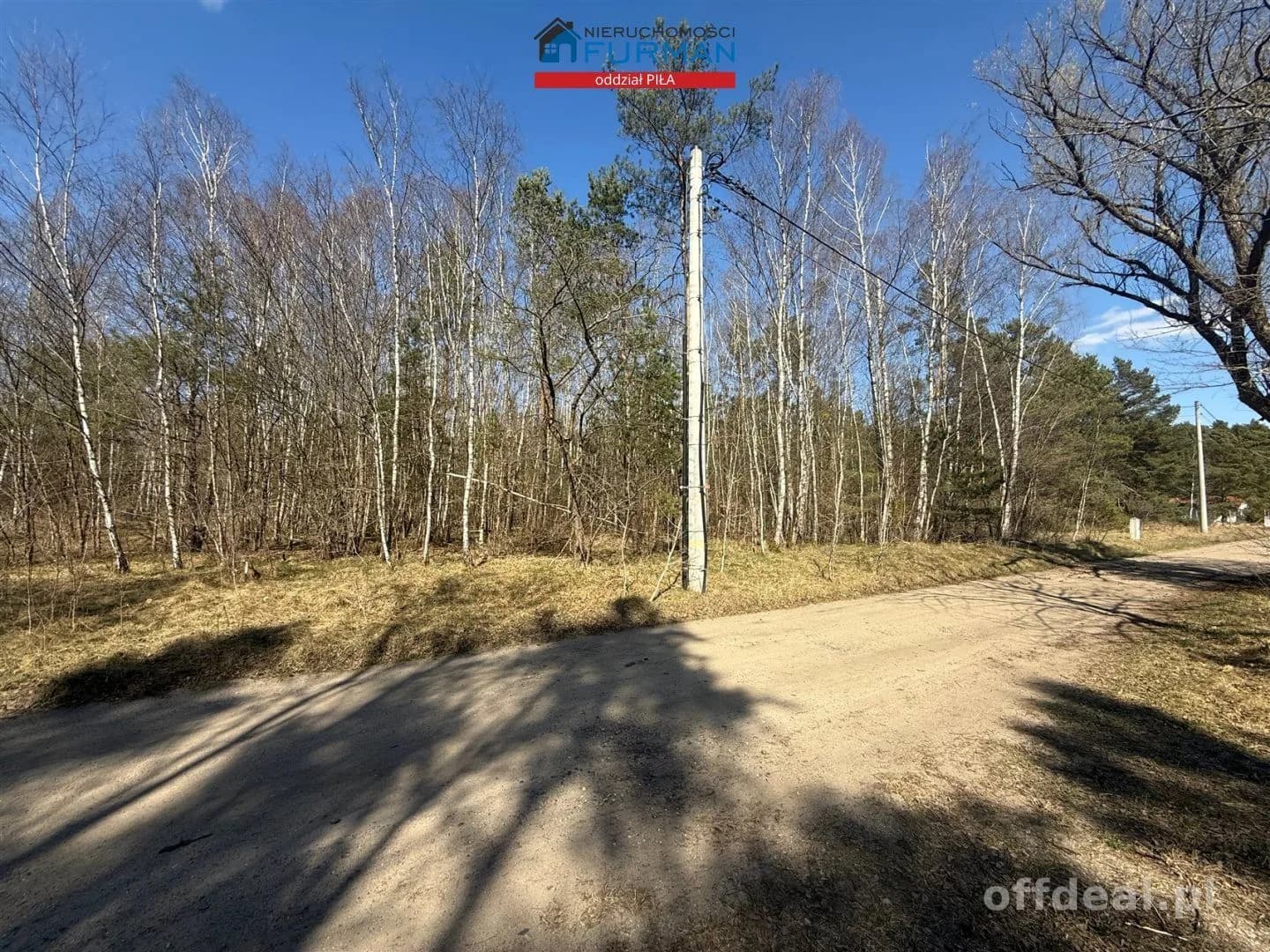 terrain à vendre à Czechyń | 3 094 m²