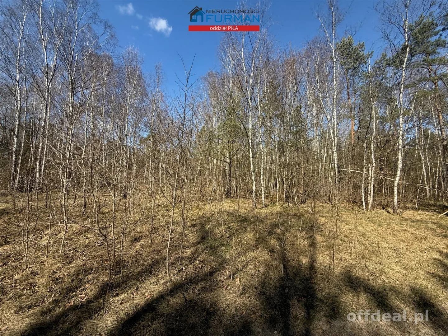 terrain à vendre à Czechyń | 3 094 m²
