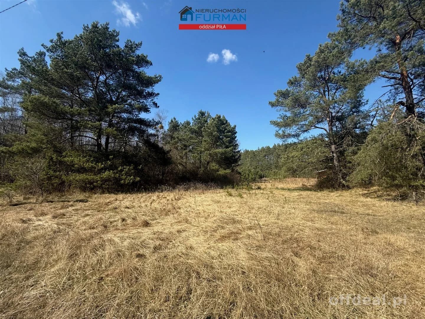 terrain à vendre à Czechyń | 3 094 m²