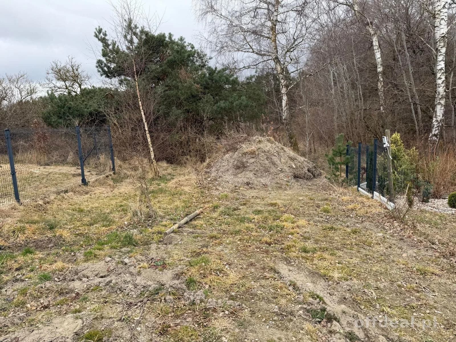 Grundstück zum Verkauf in Charzyno | 19.935 m²