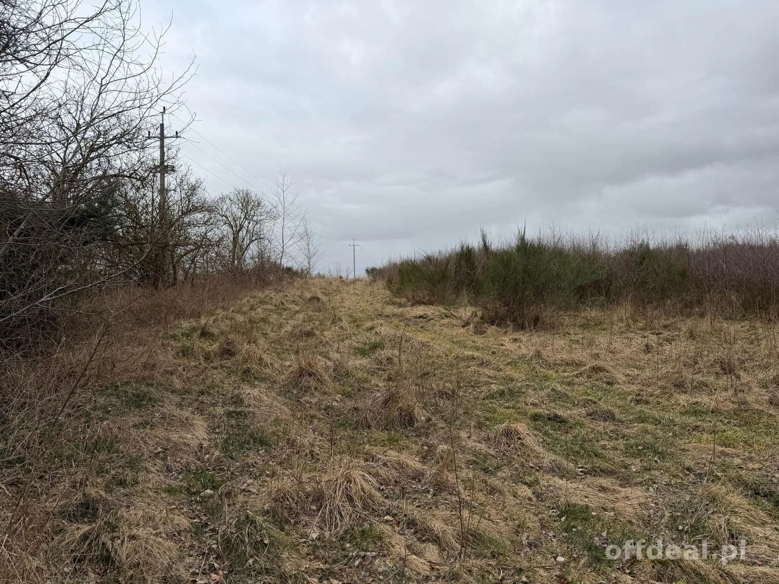 Grundstück zum Verkauf in Charzyno | 19.935 m²