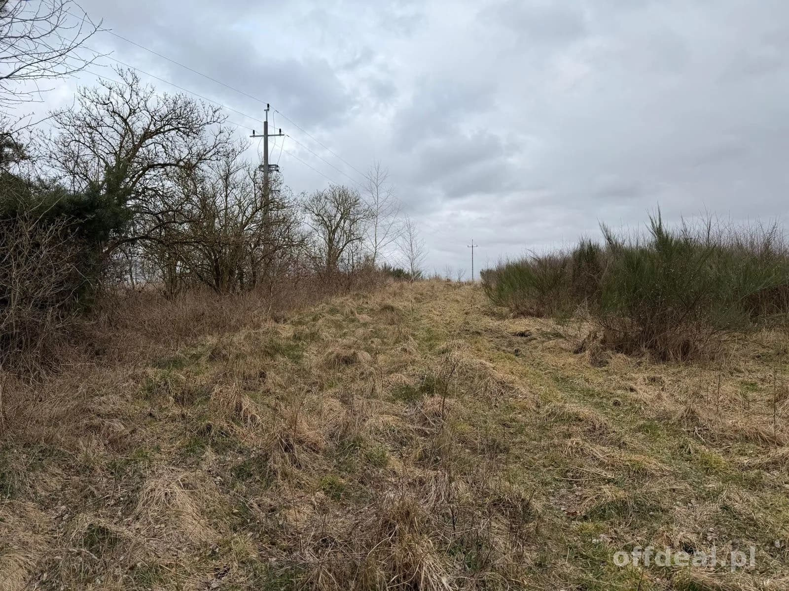 Grundstück zum Verkauf in Charzyno | 19.935 m²
