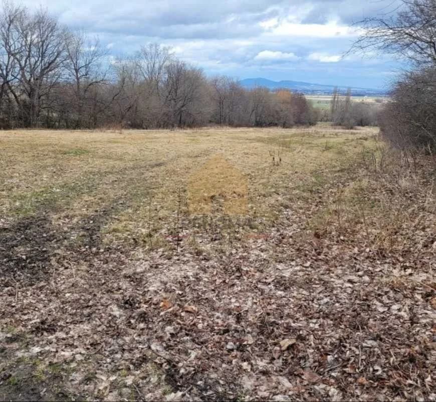terrain à vendre à Bielawa | 7 588 m²