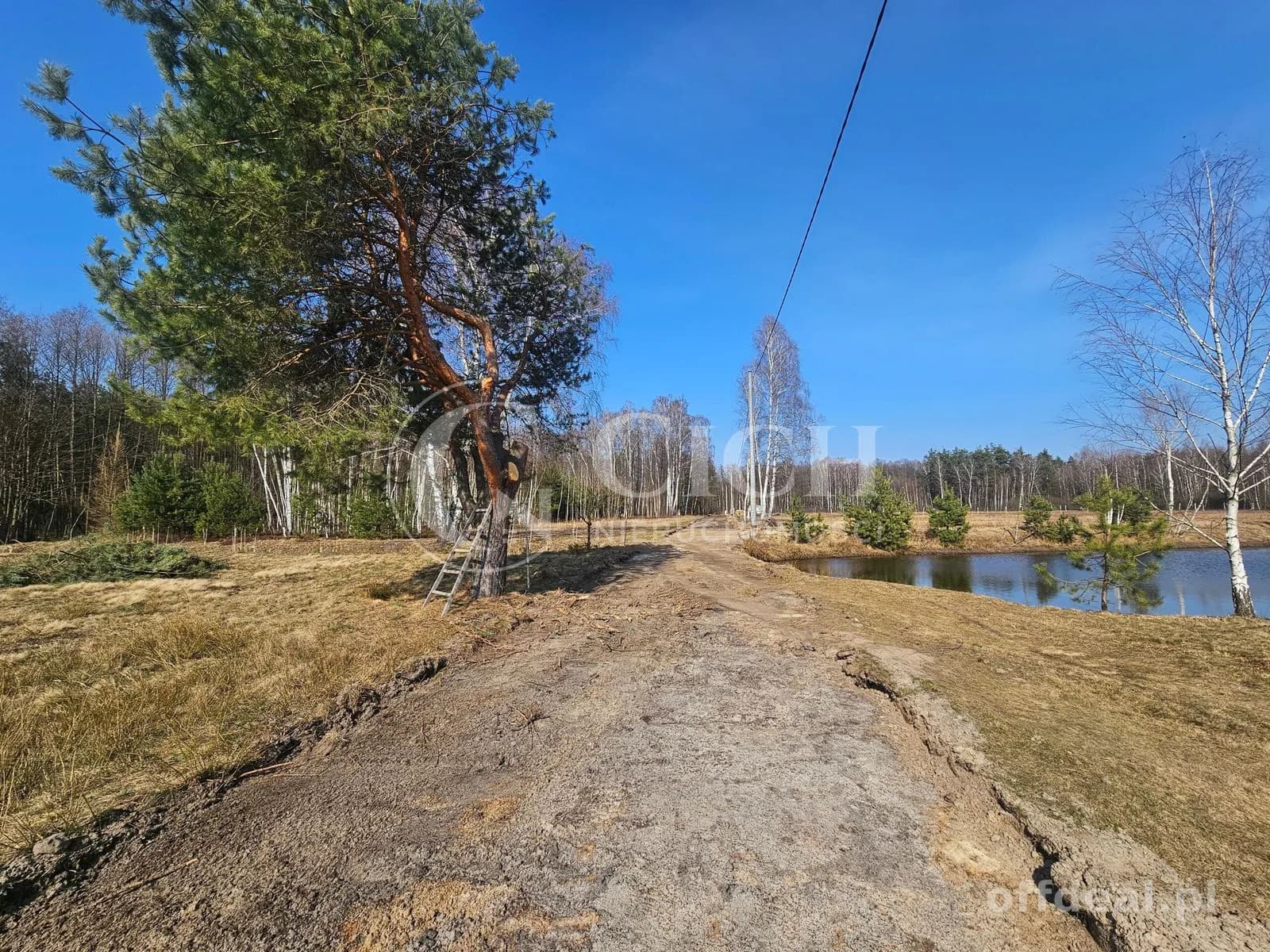 ділянка на продаж у Nowe Żukowice | 8 225 m²