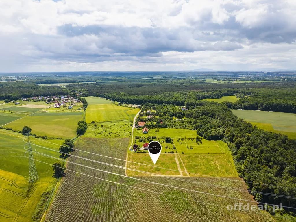 plot for sale in Zabór Wielki