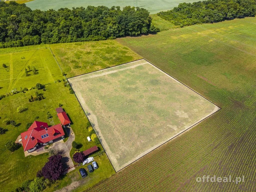 plot for sale in Zabór Wielki