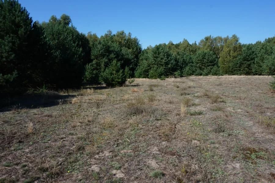 ділянка на продаж у Janiszów | 1 924 m²