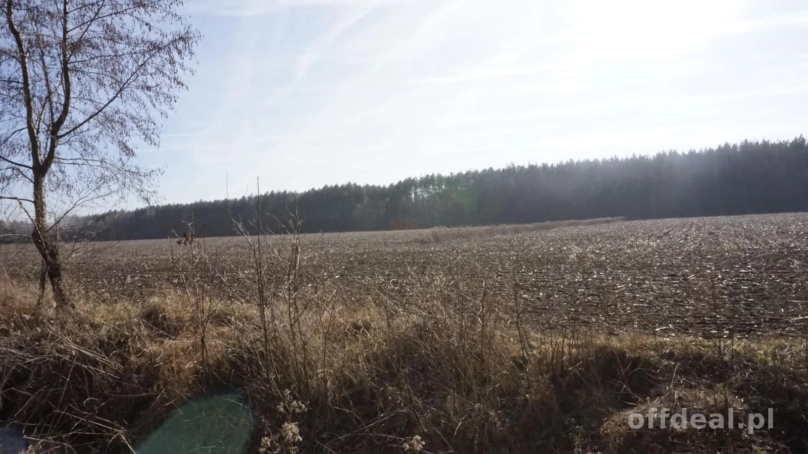 Działki budowlane pośród lasów.