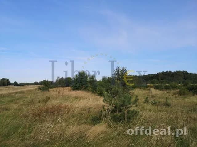 Atrakcyjna działka przy lesie