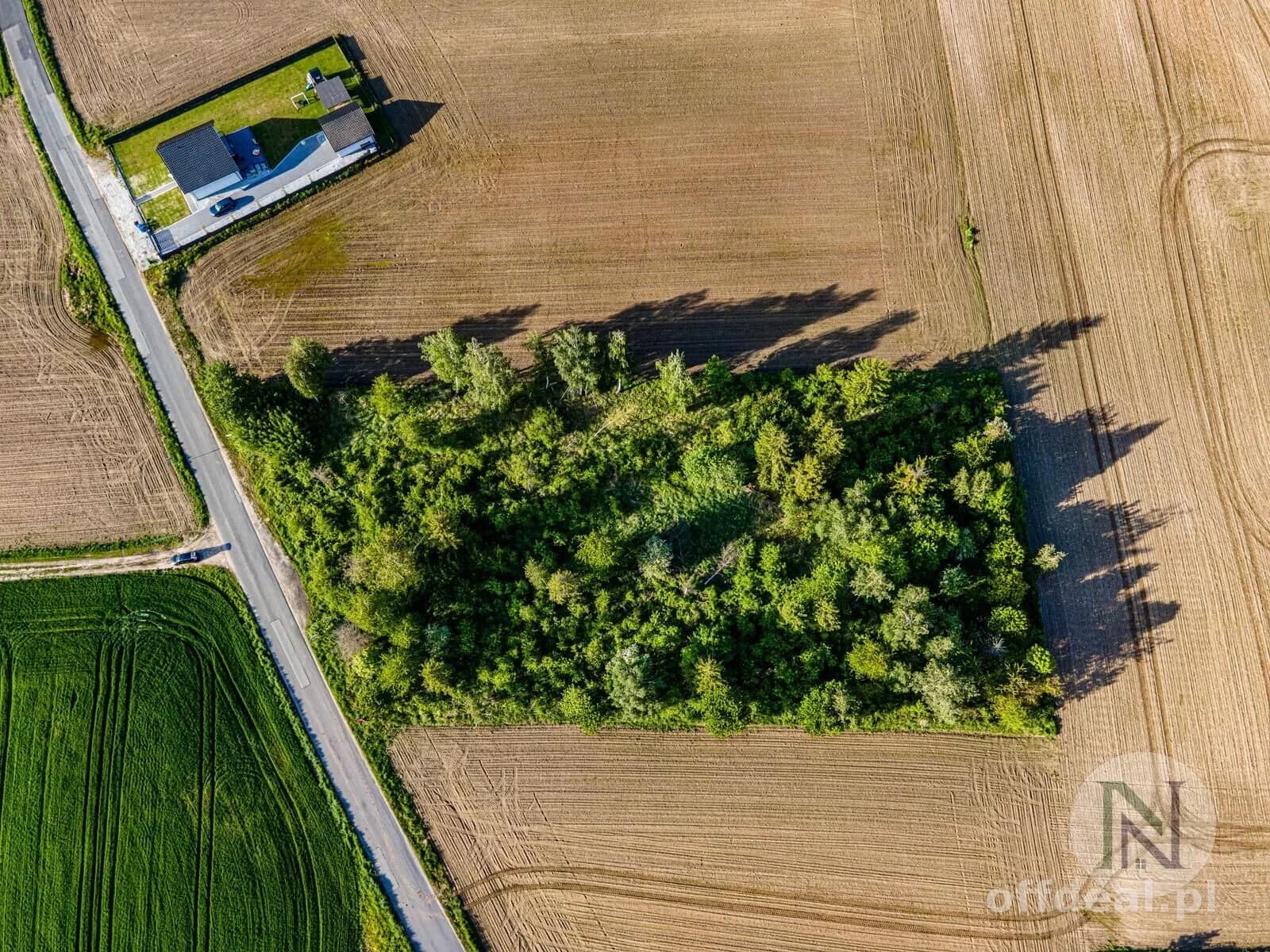 Photo 3: Plot, 980 m², Oława