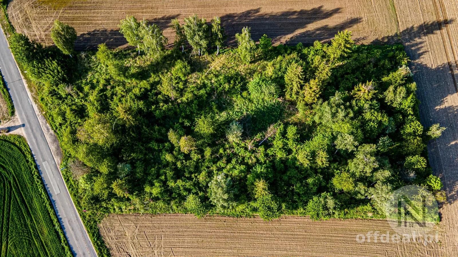 Photo 5: Plot, 980 m², Oława