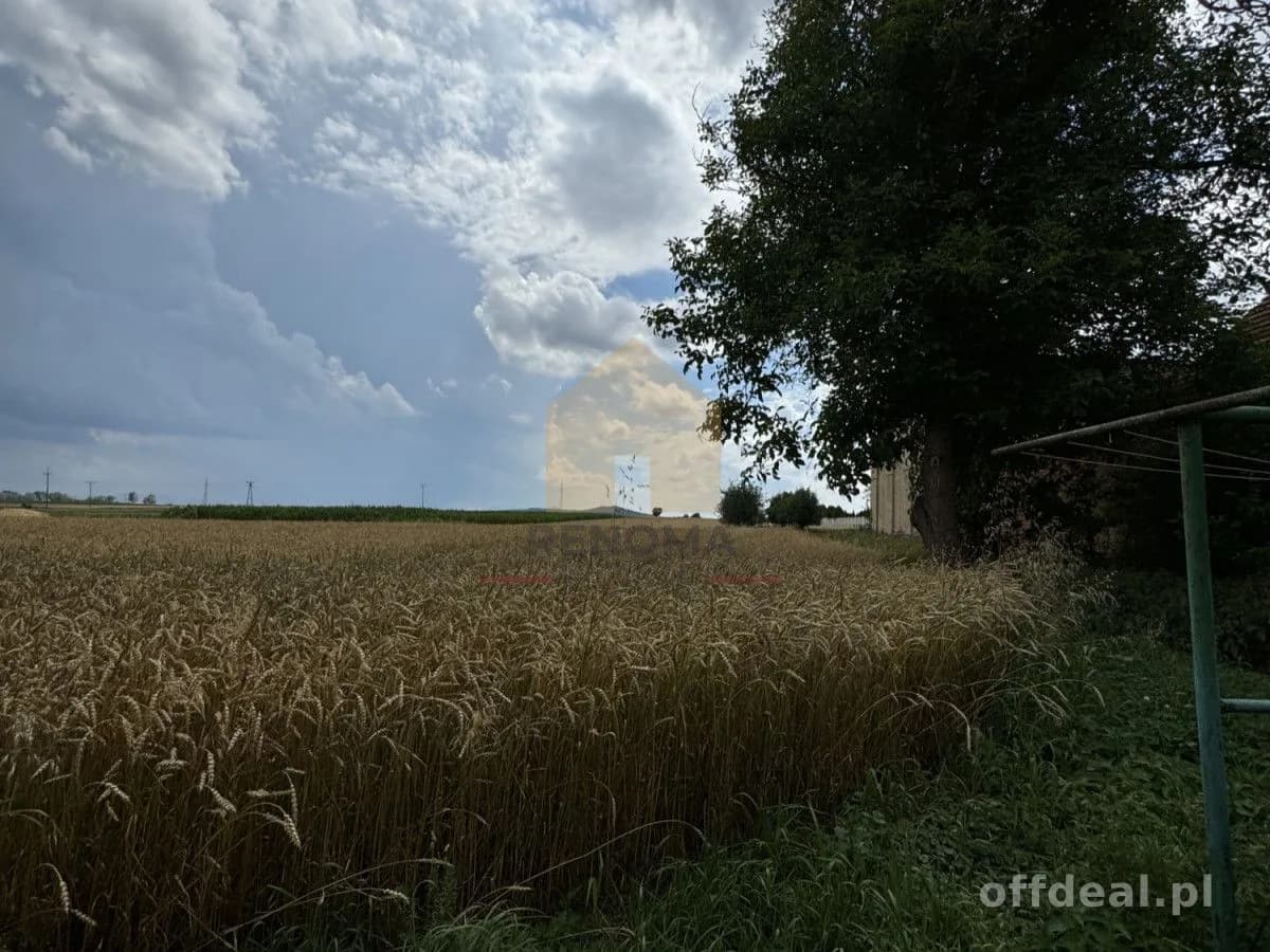 maison à vendre à Olbrachcice Wielkie | 300 m²