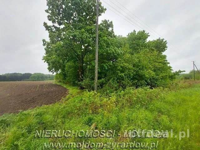 Ładna działka niedaleko Mszczonowa.