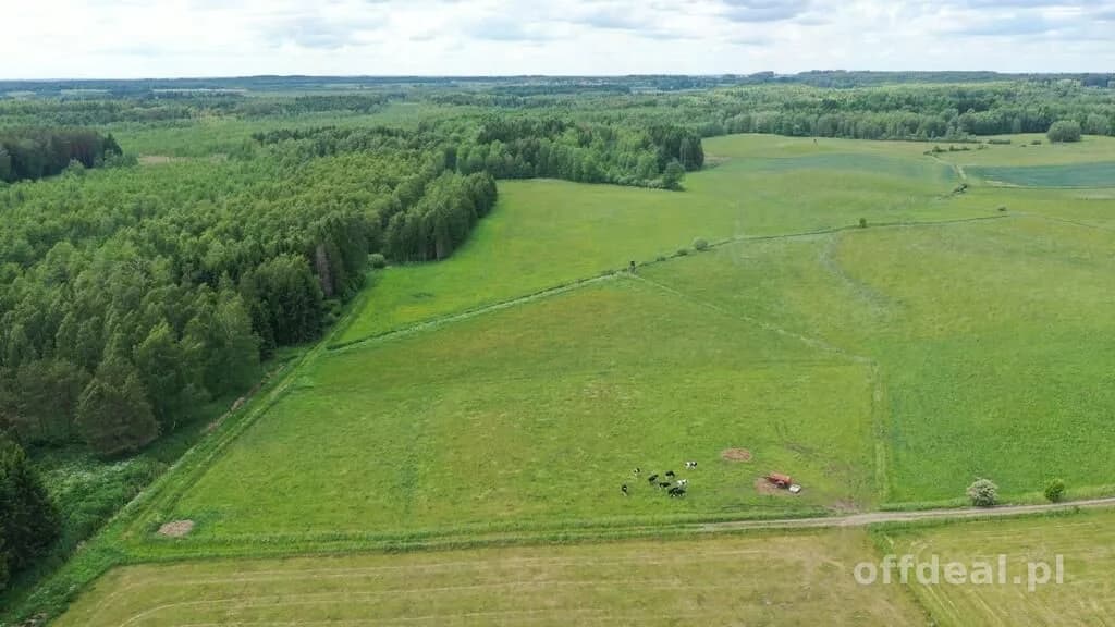 Działka rolna z Warunkami Zabudowy w m. Róże gm Węgorzewo
