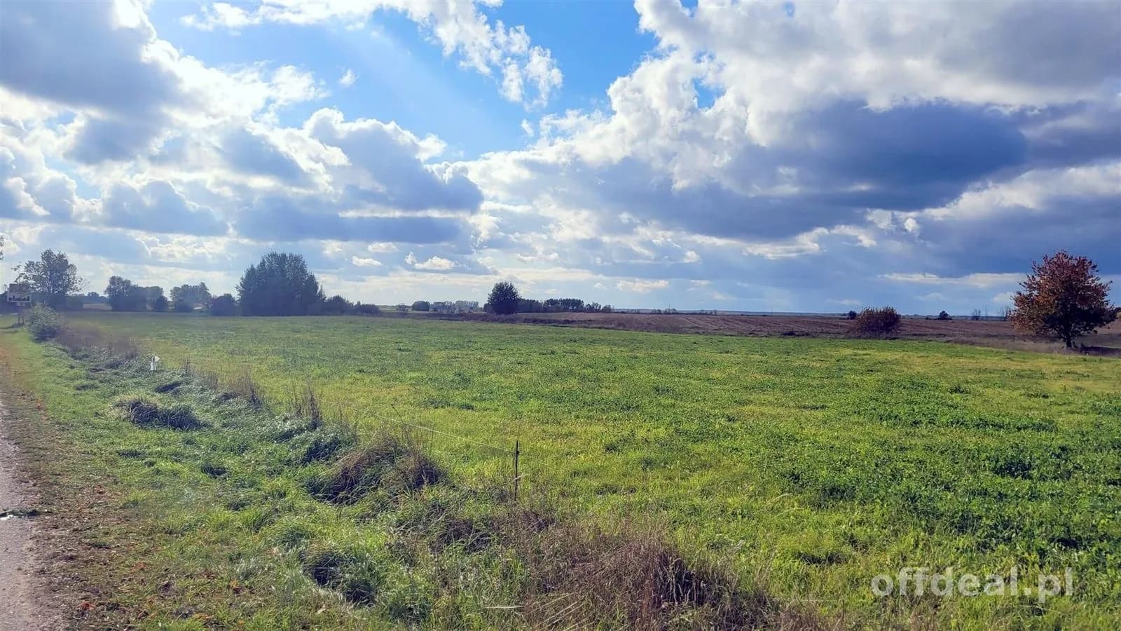 ділянка на продаж у Ełk, Koziki | 3 038 m²